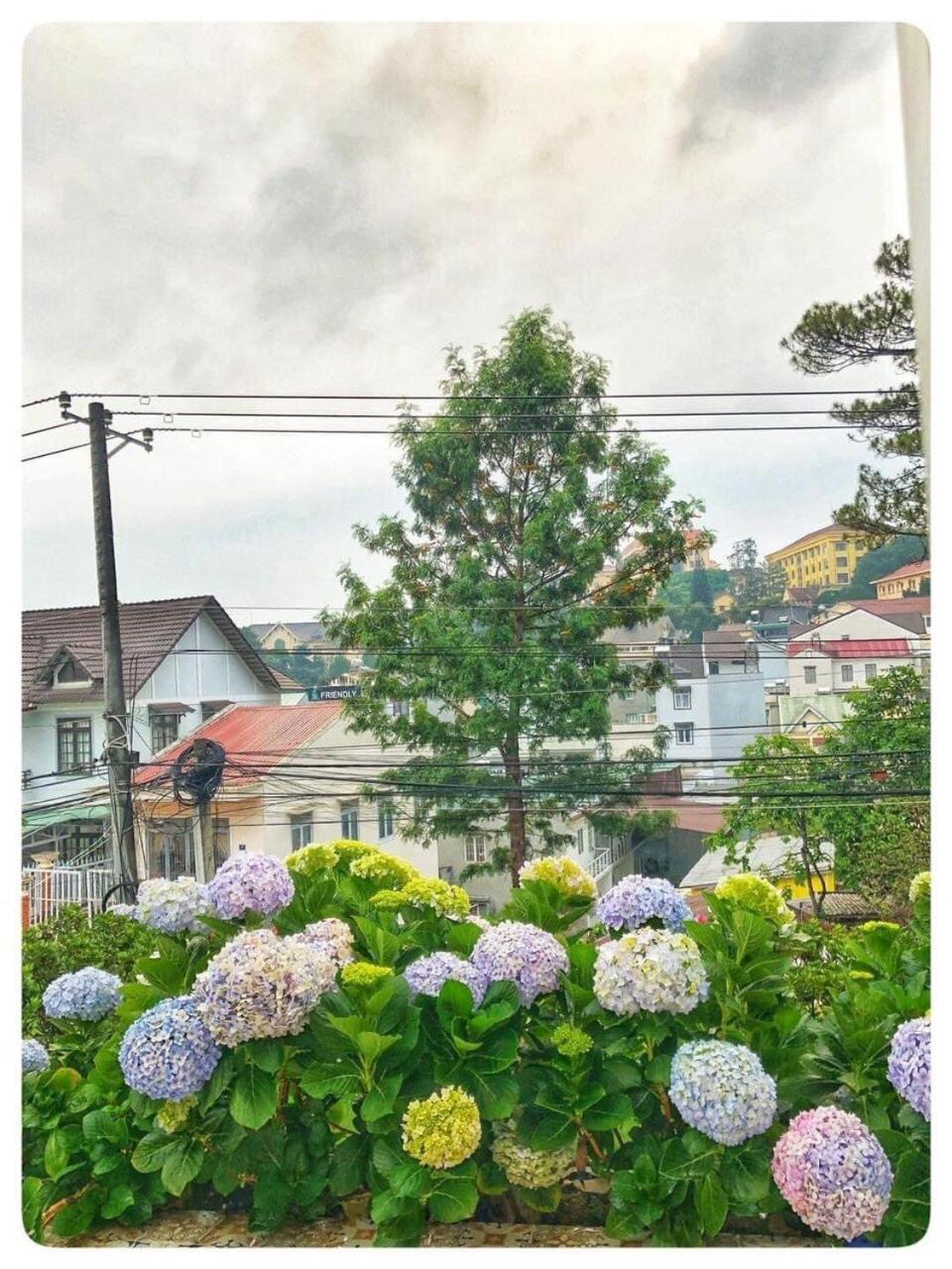 Biet Thu Trang Da Lat Villa Exterior photo